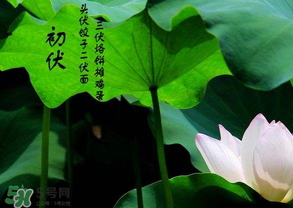 2017年頭伏是哪一天？2017年什么時候入伏？