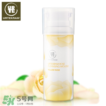 亞緹克蘭玫瑰花潔面慕斯好用嗎?亞緹克蘭玫瑰花潔面慕斯怎么樣? 亞緹克蘭玫瑰花潔面慕斯好用嗎?亞緹克蘭玫瑰花潔面慕斯怎么樣?