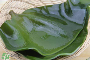 孕婦能吃海帶嗎？孕婦可以吃海帶嗎？