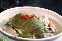 懷孕初期能吃甲魚嗎？懷孕初期可以吃甲魚嗎？