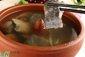 懷孕初期能吃甲魚嗎？懷孕初期可以吃甲魚嗎？