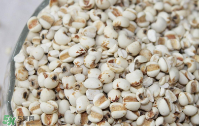 孕婦能吃米仁嗎？孕婦可以吃米仁嗎？