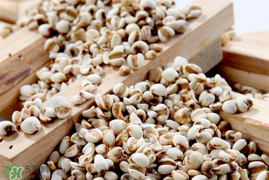 孕婦能吃米仁嗎？孕婦可以吃米仁嗎？