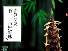 春筍多少錢一斤？春筍多少錢一斤2017？