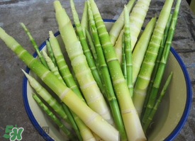 春筍多少錢一斤？春筍多少錢一斤2017？