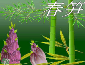 春筍多少錢一斤？春筍多少錢一斤2017？