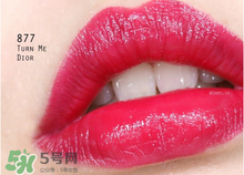 迪奧877是什么顏色？迪奧877適合黃皮嗎？