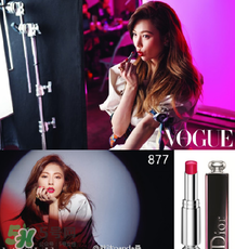 迪奧877是什么顏色？迪奧877適合黃皮嗎？