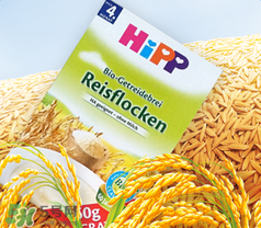 喜寶米粉怎么樣？喜寶米粉如何？