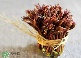 香椿幾月份可以吃？香椿什么時候吃？