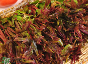 香椿幾月份可以吃？香椿什么時候吃？