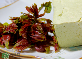 香椿為什么會苦？香椿苦味怎么回事？