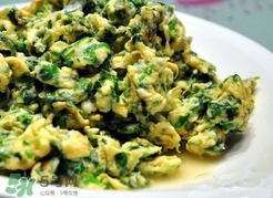 菱角菜是什么菜?菱角菜是什么樣子? 菱角菜是什么菜?菱角菜是什么樣子?