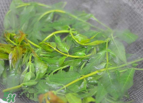 香椿為什么要焯水？香椿怎么焯水？