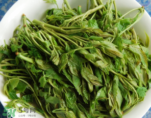 香椿什么人不能吃？香椿哪些人不能吃？