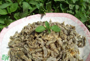 構(gòu)樹穗孕婦能吃嗎？孕婦能吃構(gòu)樹穗嗎？