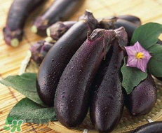 孕婦不能吃茄子嗎？為什么孕婦不能吃茄子？