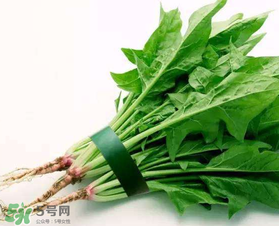 孕婦可以吃菠菜嗎？孕婦菠菜吃多了會(huì)怎樣？