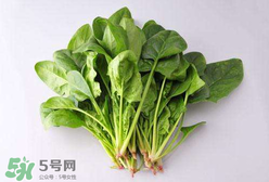 孕婦可以吃菠菜嗎？孕婦菠菜吃多了會(huì)怎樣？