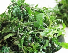 菱角菜怎么洗干凈?菱角菜怎么清洗? 菱角菜怎么洗干凈?菱角菜怎么清洗?