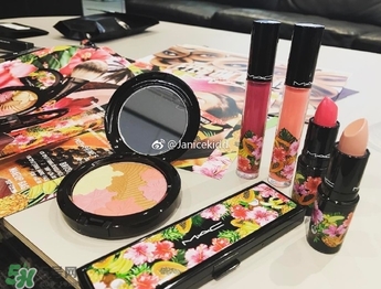 mac2017夏季fruity juicy系列有哪些？