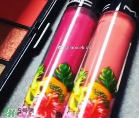 mac2017夏季fruity juicy系列有哪些？