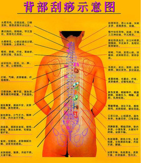 背部怎么刮痧視頻？背部刮痧手法視頻