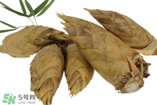 竹筍什么時候長出來？竹筍幾月份長出來？