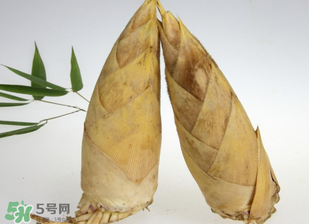 竹筍什么時候長出來？竹筍幾月份長出來？