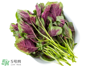 孕婦能吃莧菜嗎？孕婦可以吃莧菜嗎？