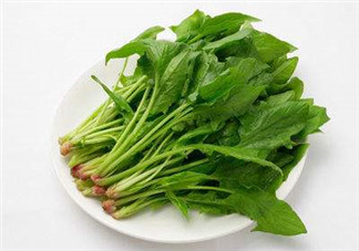 孕婦可以吃菠菜嗎？孕婦菠菜吃多了會(huì)怎樣？