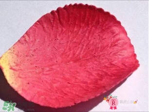 拉杜麗花瓣腮紅多少錢 拉杜麗花瓣腮紅專柜價格 拉杜麗花瓣腮紅多少錢 拉杜麗花瓣腮紅專柜價格