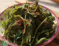 香椿要過水嗎？香椿怎么過水？