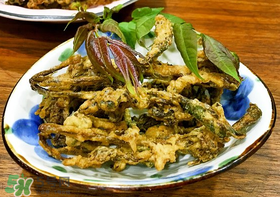 香椿什么時(shí)候吃？香椿什么時(shí)候不能吃？