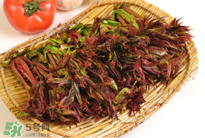 香椿什么時(shí)候吃？香椿什么時(shí)候不能吃？