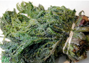 香椿腌制多久可以吃？香椿腌多長(zhǎng)時(shí)間能吃？