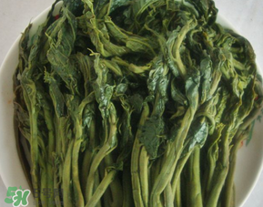 香椿腌制多久可以吃？香椿腌多長(zhǎng)時(shí)間能吃？