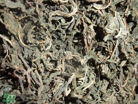 香椿可以曬干嗎？香椿怎么曬干？