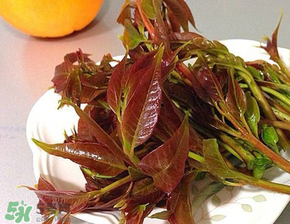 香椿可以冷凍嗎？香椿凍了能吃嗎？