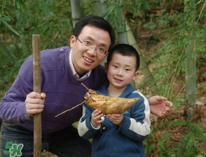 竹筍什么時候挖？竹筍幾月挖？