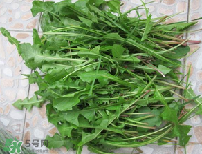 婆婆丁孕婦能吃嗎？婆婆丁孕婦可以吃嗎？