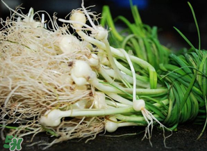 小根蒜孕婦能吃嗎？小根蒜孕婦可以吃嗎？