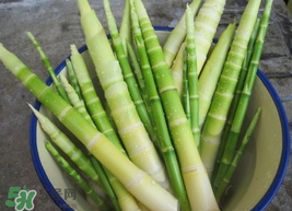 竹筍能放冰箱嗎？竹筍放冰箱怎么保存？