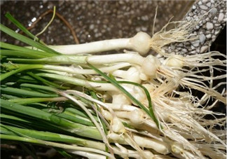 小根蒜孕婦能吃嗎？小根蒜孕婦可以吃嗎？