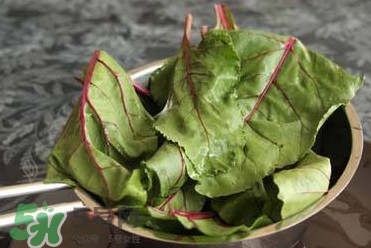 甜菜葉是否可以生吃？甜菜葉可以生吃嗎