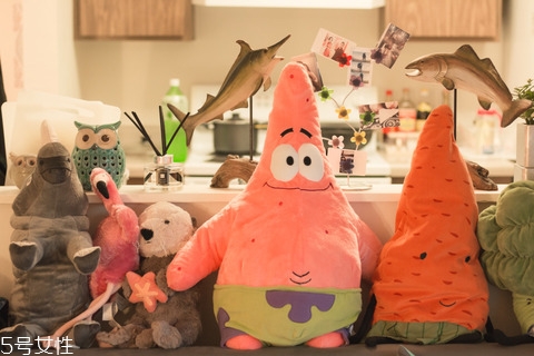 出租房怎么布置好看 出租房如何布置好看 出租房怎么布置好看 出租房如何布置好看