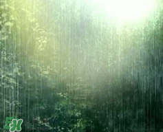 四月份會(huì)一直下雨嗎？2017年四月份為什么一直下雨？