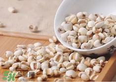 孕婦能吃薏米嗎？孕婦可以吃薏米嗎？