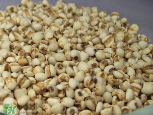 孕婦能吃薏米嗎？孕婦可以吃薏米嗎？