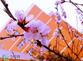 2017年四月份天氣如何？2017年四月份天氣預報